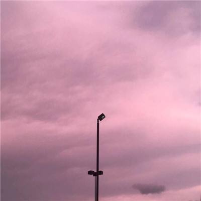 加拿大28下载手机版