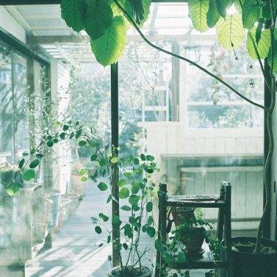 火狐体育下载appapp下载