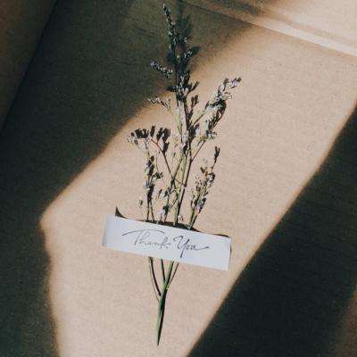 B体育旧版本官网下载苹果