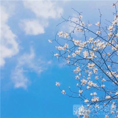 爱游戏全站app下载截图