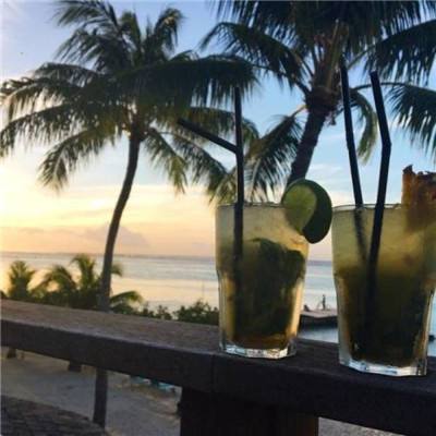 im电竞官方网站入口